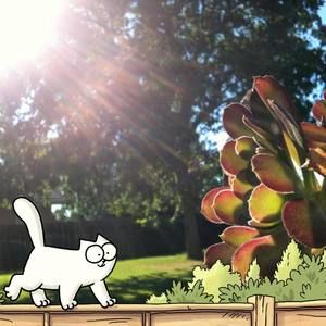 Meet your Posher, Paula